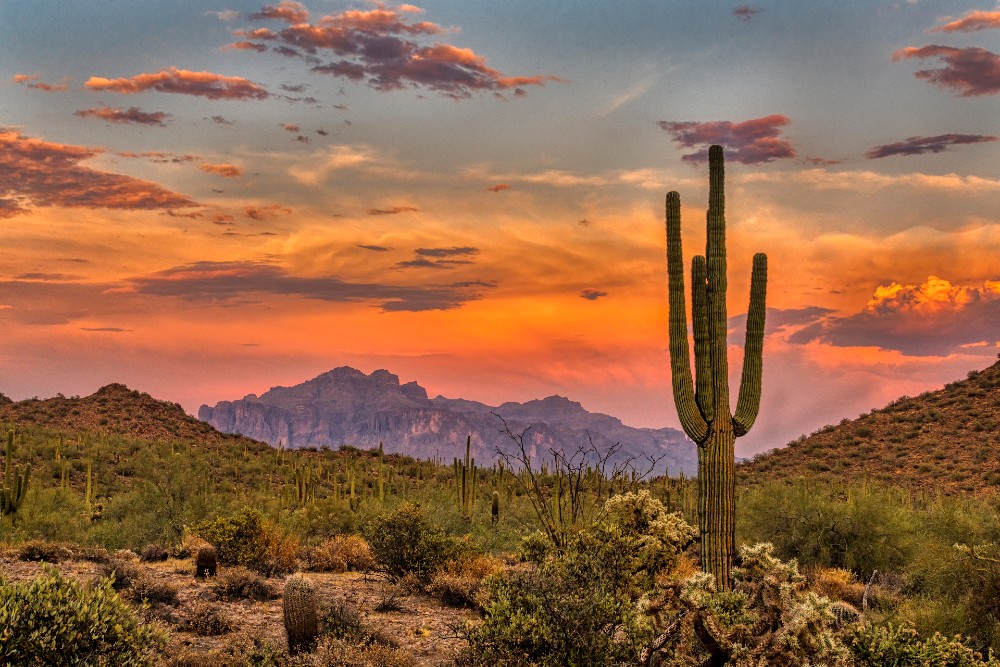Find the Best Cities in Arizona to Live In Vivint